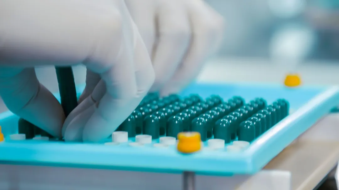 Advanced capsules in a pharmaceutical manufacturing tray representing precision ADC drug conjugation