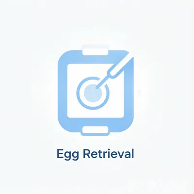 Egg Retrieval